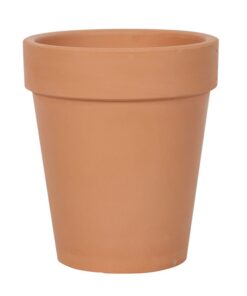 Alternative view of Bloom Where You Are Planted Terracotta Plant Pot