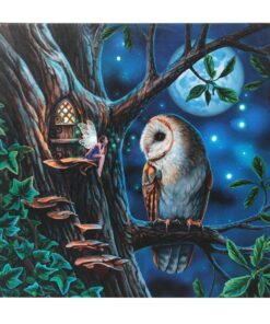 Fairy Tales Light Up Canvas Plaque by Lisa Parker