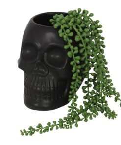 Black Skull Plant Pot