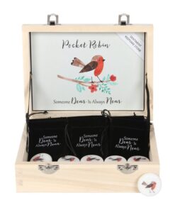 Box of 24 Pocket Robin Sentiment Stones